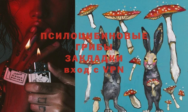 Альфа ПВП Володарск