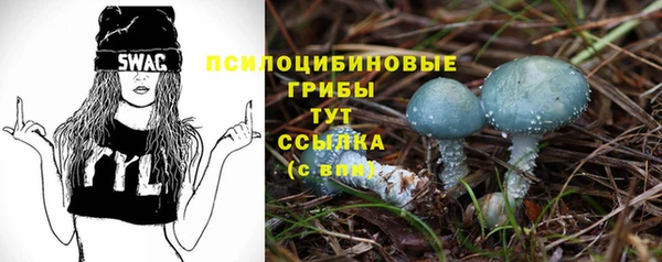 стафф Волосово