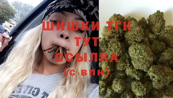 гидра Волоколамск
