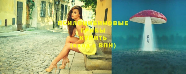 стафф Волосово