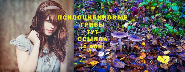 гидра Волоколамск