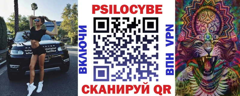 Псилоцибиновые грибы MAGIC MUSHROOMS  Купить закладки  Новокубанск 